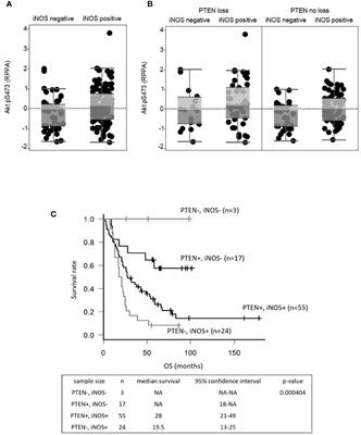 iNOS Associates With Poor Survival in Melanoma: A Role for Nitric Oxide in the PI3K-AKT Pathway Stimulation and PTEN S-Nitrosylation